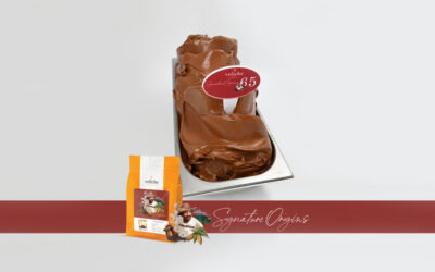 Εκπληκτικό Gelato & Sorbet σοκολάτας με σοκολάτα κουβερτούρα Veliche από την ΣΤΕΛΙΟΣ ΚΑΝΑΚΗΣ ΑΒΕΕ