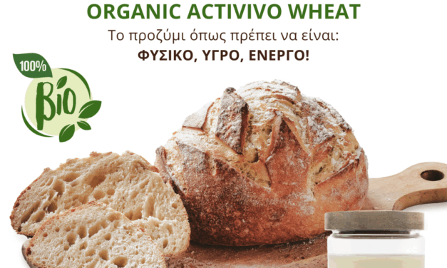 BÖCKER ACTIVIVO: Το προζύμι όπως πρέπει να είναι!