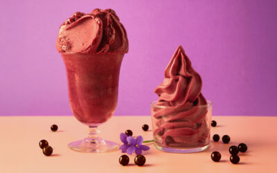 Prontofruit® Açaí & Berries από την PREGEL