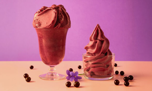 Prontofruit® Açaí & Berries από την PREGEL