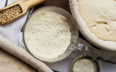 Fermentation: Η δύναμη της ζύμωσης στα τρόφιμα