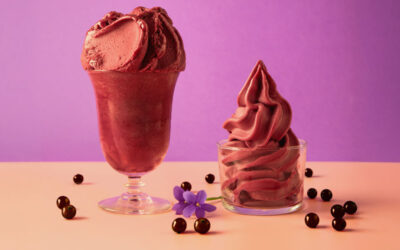 Prontofruit® Açaí & Berries από την PREGEL