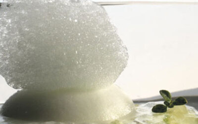 Espuma φέτας με σορμπέ καρπουζιού και αφυδατωμένο δυόσμο