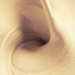 Είδη εμπορικών προζυμιών