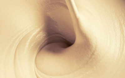 Είδη εμπορικών προζυμιών