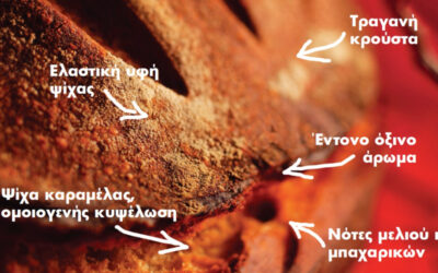 Oργανοληπτικά Χαρακτηριστικά Εμπορικών Προζυμιών