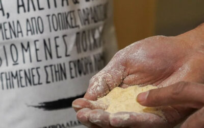 Αυθεντικό κίτρινο αλεύρι από τη Λήμνο – Πετρόμυλος «ΣΑΛΑΣ»