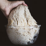 Οι μικροοργανισμοί του προζυμιού