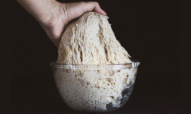 Οι μικροοργανισμοί του προζυμιού