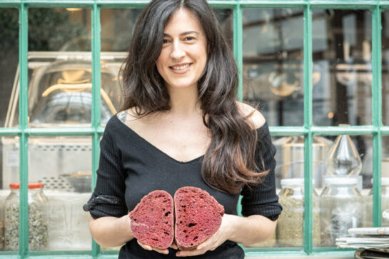 Faidra_Mauroeidi_Svana